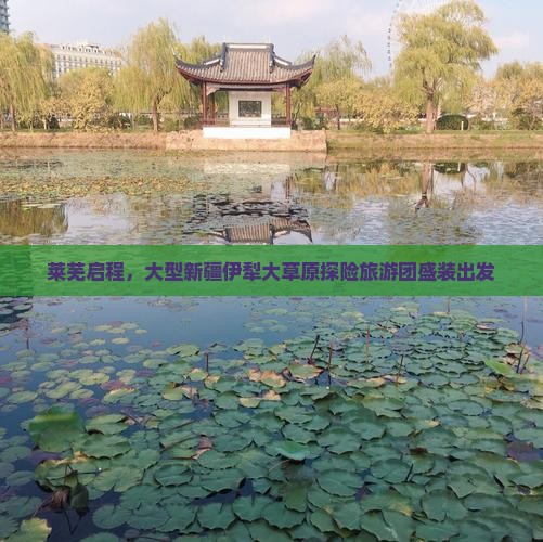 莱芜启程，大型新疆伊犁大草原探险旅游团盛装出发