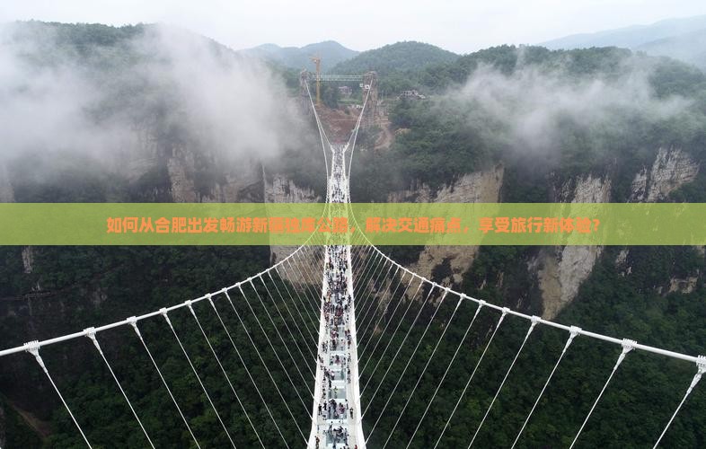 如何从合肥出发畅游新疆独库公路，解决交通痛点，享受旅行新体验？