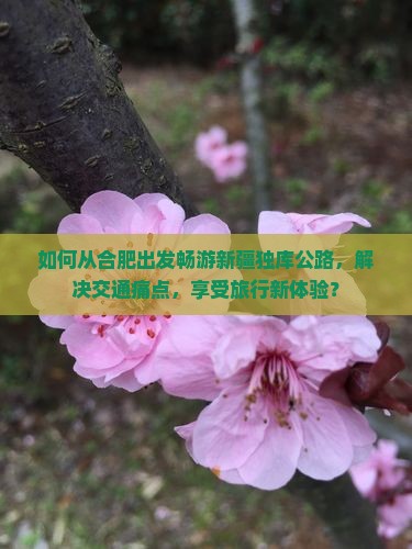 如何从合肥出发畅游新疆独库公路，解决交通痛点，享受旅行新体验？