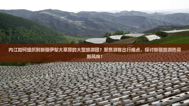 内江如何组织到新疆伊犁大草原的大型旅游团？聚焦游客出行痛点，探讨新疆旅游热词新风向！
