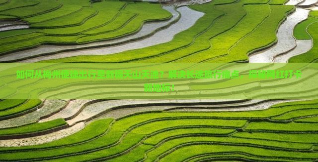 如何从梅州便捷出行至新疆天山天池？解决长途旅行痛点，探秘网红打卡新地标！