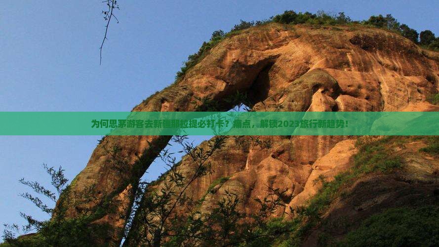 为何思茅游客去新疆那拉提必打卡？痛点，解锁2023旅行新趋势！