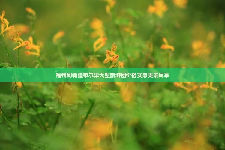 福州到新疆布尔津大型旅游团价格实惠美景尽享