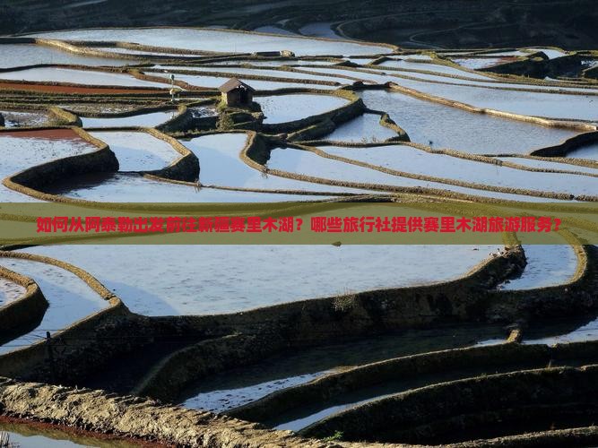 如何从阿泰勒出发前往新疆赛里木湖？哪些旅行社提供赛里木湖旅游服务？