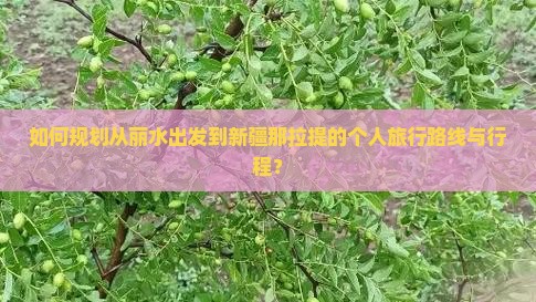 如何规划从丽水出发到新疆那拉提的个人旅行路线与行程？