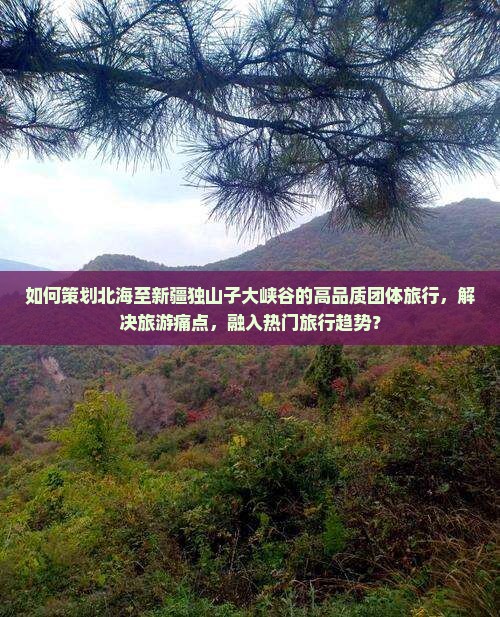 如何策划北海至新疆独山子大峡谷的高品质团体旅行，解决旅游痛点，融入热门旅行趋势？