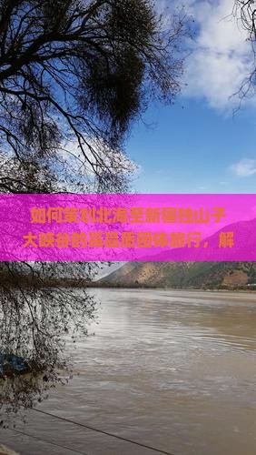 如何策划北海至新疆独山子大峡谷的高品质团体旅行，解决旅游痛点，融入热门旅行趋势？