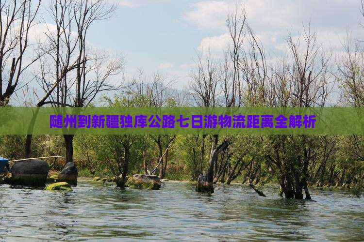 随州到新疆独库公路七日游物流距离全解析