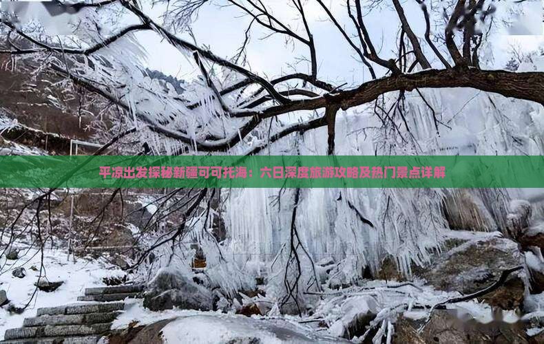 平凉出发探秘新疆可可托海：六日深度旅游攻略及热门景点详解