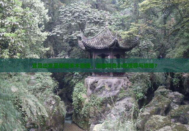 宜昌出发至新疆禾木旅游，当地特色小吃推荐与攻略？