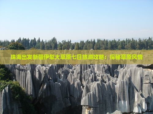 珠海出发新疆伊犁大草原七日旅游攻略：探秘草原风情