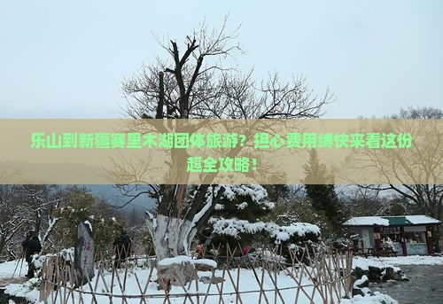 乐山到新疆赛里木湖团体旅游？担心费用缚快来看这份超全攻略！