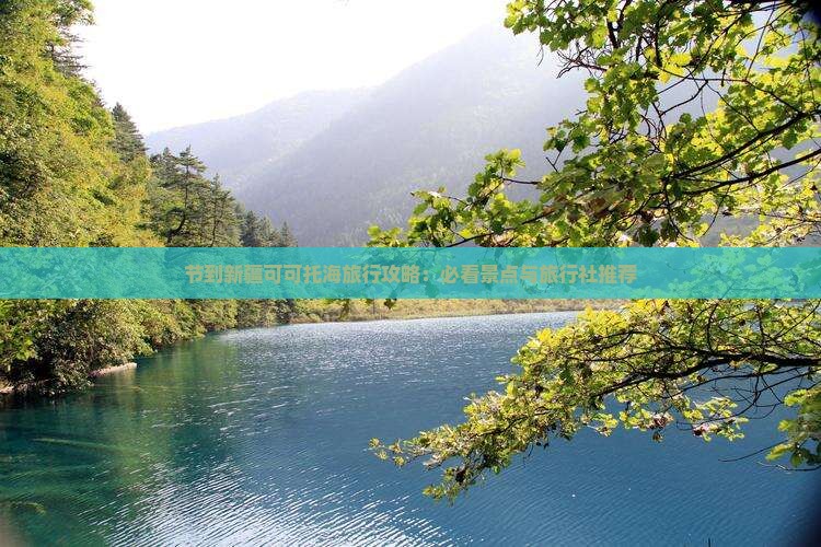 节到新疆可可托海旅行攻略：必看景点与旅行社推荐