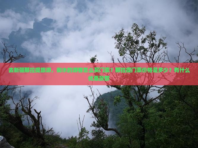去新疆那拉提旅游，衡水的游客怎么买门票？那拉提门票价格是多少？有什么优惠政部