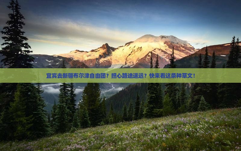 宜宾去新疆布尔津自由团？担心路途遥远？快来看这条种草文！
