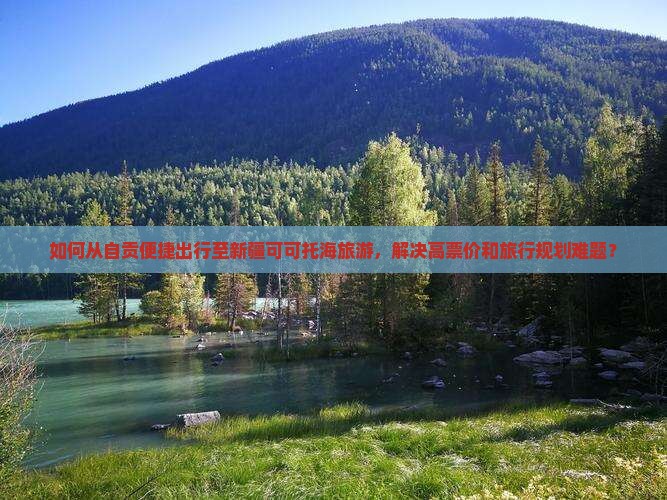如何从自贡便捷出行至新疆可可托海旅游，解决高票价和旅行规划难题？