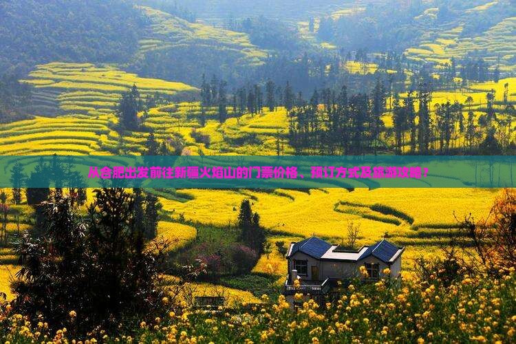 从合肥出发前往新疆火焰山的门票价格、预订方式及旅游攻略？