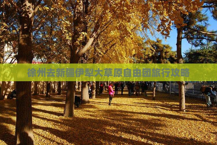 徐州去新疆伊犁大草原自由团旅行攻略