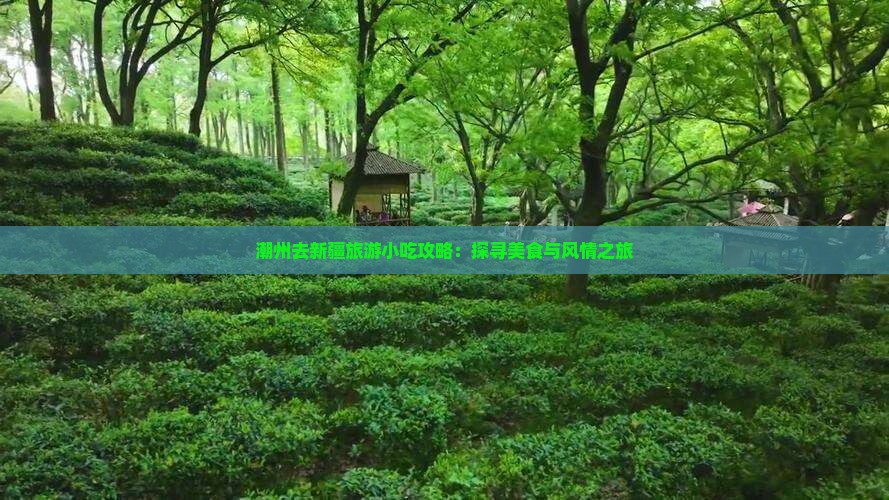 潮州去新疆旅游小吃攻略：探寻美食与风情之旅