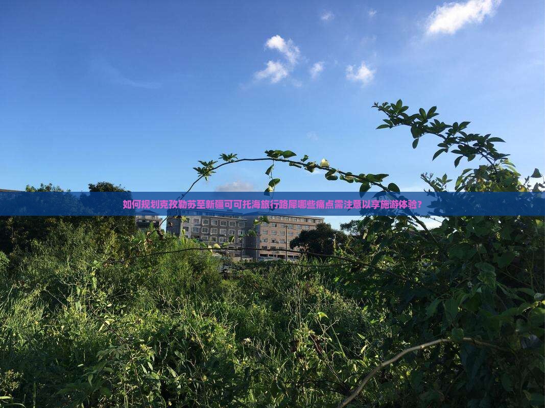 如何规划克孜勒苏至新疆可可托海旅行路犀哪些痛点需注意以享施游体验？