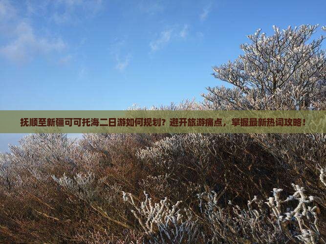 抚顺至新疆可可托海二日游如何规划？避开旅游痛点，掌握最新热词攻略！