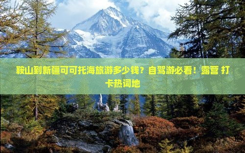 鞍山到新疆可可托海旅游多少钱？自驾游必看！露营+打卡热词地