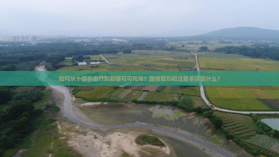如何从十堰自由行到新疆可可托海？路线规划和注意事项是什么？