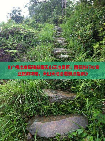 《广州出发探秘新疆天山天池景区：国际旅行社专业旅游攻略，天山天池必看景点指南》