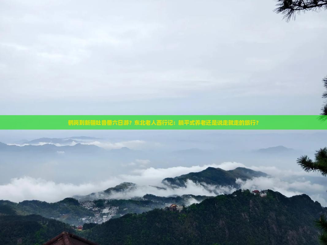 鹤岗到新疆吐鲁番六日游？东北老人西行记：躺平式养老还是说走就走的旅行？