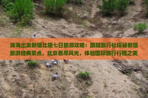 珠海出发新疆北疆七日旅游攻略：跟随旅行社探秘新疆旅游经典景点，北京看尽风光，体验国际旅行行程之美