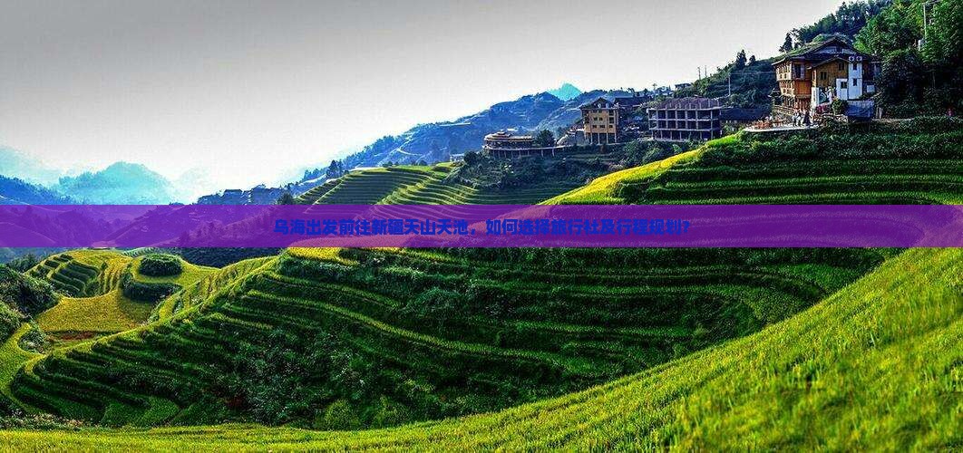 乌海出发前往新疆天山天池，如何选择旅行社及行程规划？
