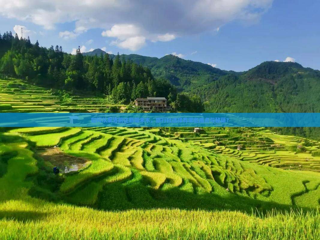 如何从果洛前往新疆禾木，旅行社选择有哪些痛点与秘籍？