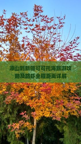 凉山到新疆可可托海旅游攻略及路虾全程距离详解