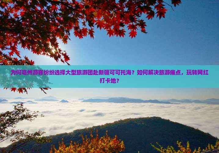 为何亳州游客纷纷选择大型旅游团赴新疆可可托海？如何解决旅游痛点，玩转网红打卡地？