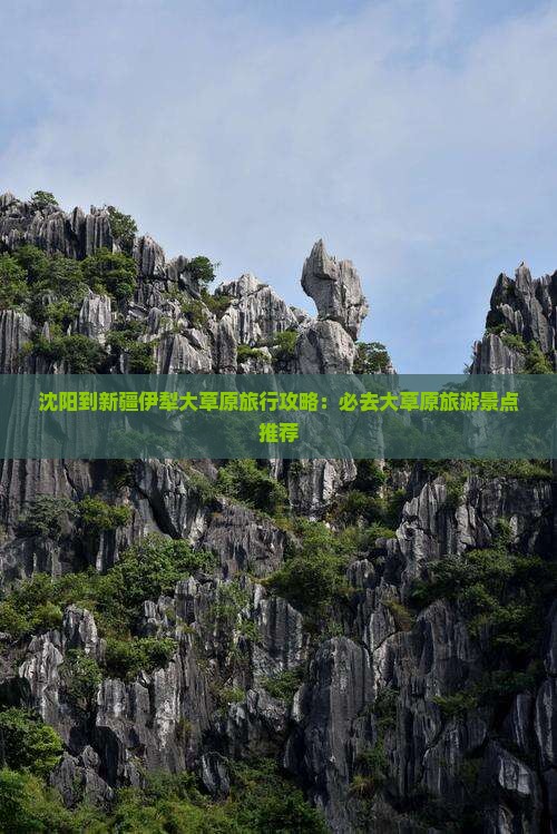 沈阳到新疆伊犁大草原旅行攻略：必去大草原旅游景点推荐