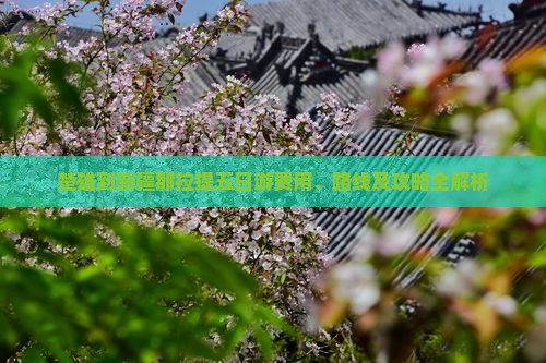 楚雄到新疆那拉提五日游费用、路线及攻略全解析