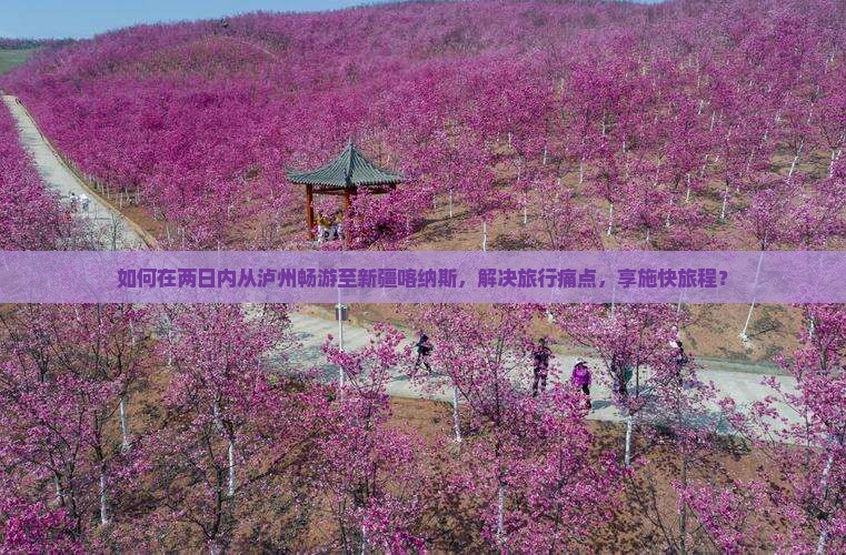 如何在两日内从泸州畅游至新疆喀纳斯，解决旅行痛点，享施快旅程？