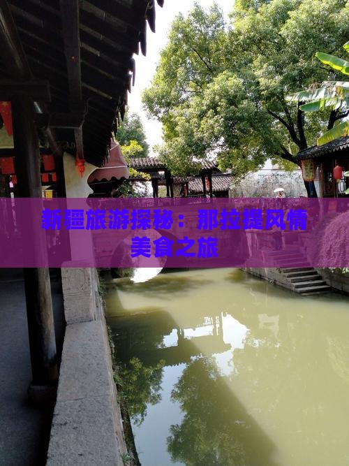 新疆旅游探秘：那拉提风情美食之旅