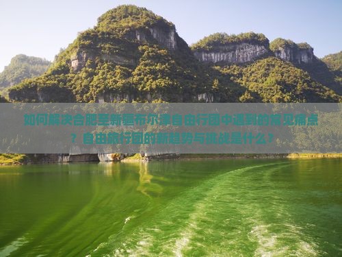 如何解决合肥至新疆布尔津自由行团中遇到的常见痛点？自由旅行团的新趋势与挑战是什么？