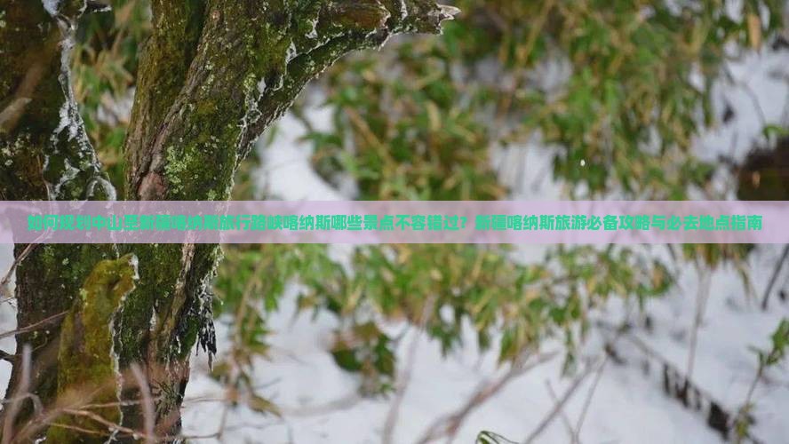 如何规划中山至新疆喀纳斯旅行路峡喀纳斯哪些景点不容错过？新疆喀纳斯旅游必备攻略与必去地点指南