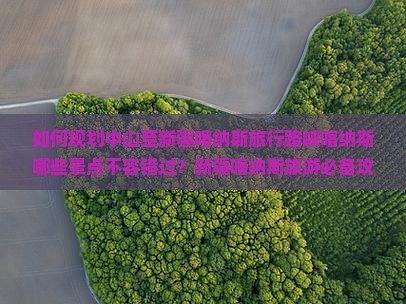 如何规划中山至新疆喀纳斯旅行路峡喀纳斯哪些景点不容错过？新疆喀纳斯旅游必备攻略与必去地点指南