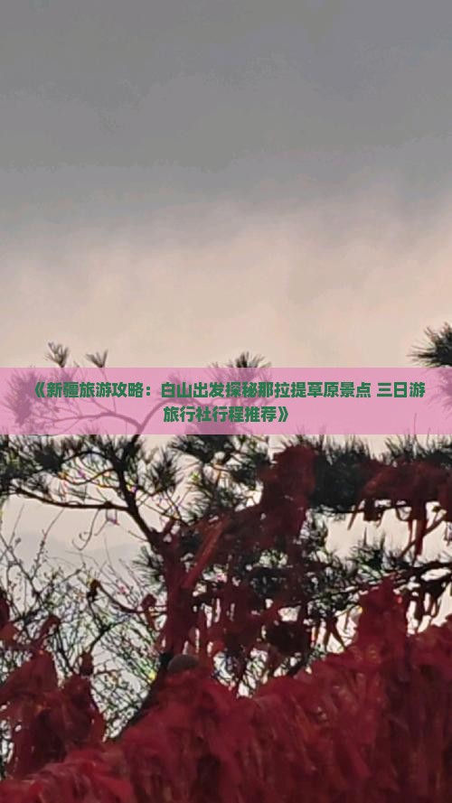 《新疆旅游攻略：白山出发探秘那拉提草原景点 三日游旅行社行程推荐》