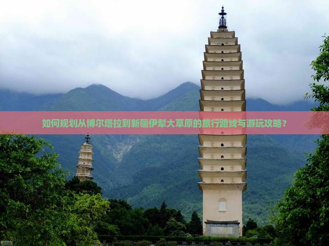 如何规划从博尔塔拉到新疆伊犁大草原的旅行路线与游玩攻略？