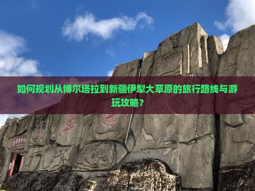 如何规划从博尔塔拉到新疆伊犁大草原的旅行路线与游玩攻略？