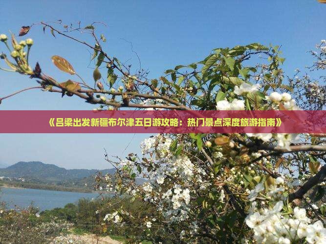 《吕梁出发新疆布尔津五日游攻略：热门景点深度旅游指南》