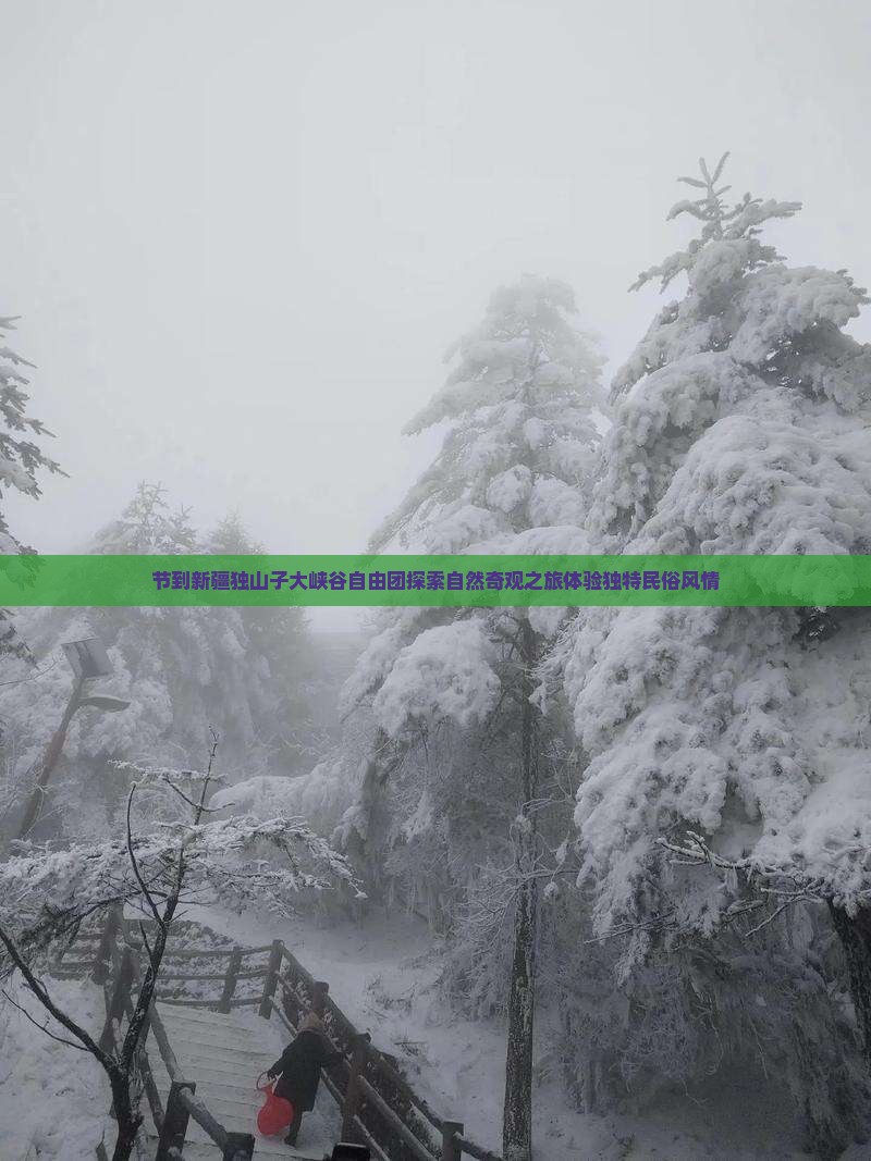 节到新疆独山子大峡谷自由团探索自然奇观之旅体验独特民俗风情