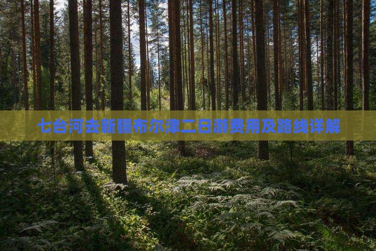 七台河去新疆布尔津二日游费用及路线详解