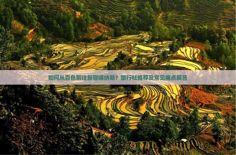 如何从百色前往新疆喀纳斯？旅行社推荐及常见痛点解答