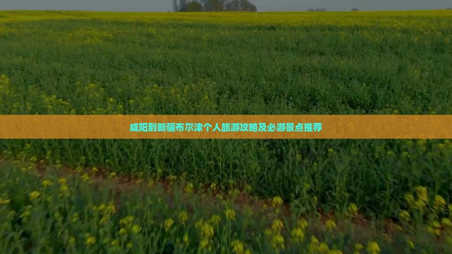 咸阳到新疆布尔津个人旅游攻略及必游景点推荐
