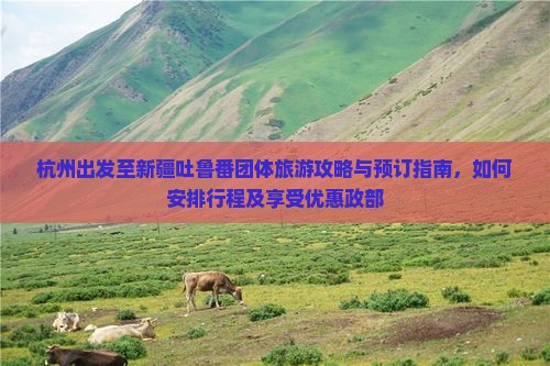 杭州出发至新疆吐鲁番团体旅游攻略与预订指南，如何安排行程及享受优惠政部